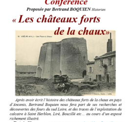 affiche_amis_petit_lyre